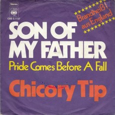 CHICORY TIP - Son of my father